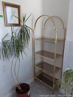 Gold metal and glass shelving unit with arch-top frame and four glass shelves; partial view of framed botanical print on wall.