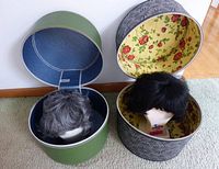 Two round zippered travel wig cases open with styrofoam heads inside, each with a wig on it. One case is green with a blue interior, holding a gray wig on a styrofoam head. The other is gray with a black floral exterior and floral interior, holding a black wig on a styrofoam head.