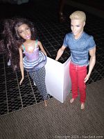 Two dolls side by side on a checkered surface, one female Barbie doll with brown curly hair and one male Ken doll with blond hair.