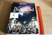 Front cover of the book showing nighttime Disneyland scene with fireworks and crowds