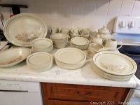 Photo showing the full collection of Royal Doulton dishes including plates, bowls, cups, and serving pieces on a kitchen counter.