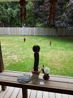 Overview of all items on wooden bench showing wind chimes hanging above, cactus in pot, welcome sign plaque, thermometer, and bird solar light