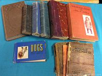 Photo showing 10 vintage books in a row with worn and faded covers in brown, blue, maroon, and orange. Includes small blue book 'The Blue Book of DOGS' and a fragile book titled 'Andre Chenier'.