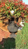Front view of one black cast iron urn filled with flowering plant