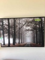 Framed tree picture hung on a wall showing a pathway through tall trees with a foggy atmosphere, dimensions marked as 24x36 inches