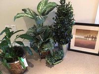 Photo showing the grouping of one real and three artificial plants next to framed art print on carpeted floor.