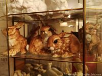 Four brown porcelain bunny figurines displayed on a shelf with other collectibles visible around them.