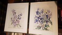Two framed watercolour paintings displayed side by side, showing floral subjects in purple hues.