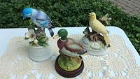 Front angle view of three bird music boxes on a crocheted cloth outdoors: blue Bluebird on white base with flowers, green and brown Mallard Duck on wooden base, yellow bird on textured white base with butterfly.