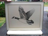 Front view of framed ink drawing showing detailed depiction of a Canada Goose flying, with wings raised.
