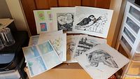 Photo showing multiple original artworks by Carol Gallant including detailed ink sketches of animals and flowers along with watercolour paintings in a variety of styles on sketchbook and loose pages.