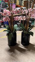Photo showing pair of pink orchids with green leaves in black vases in a storage or garage setting.