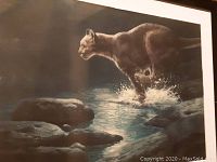 Framed print showing mountain lion running through water with splash effect, capturing moonlit nighttime scene
