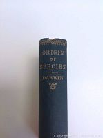 Spine view showing gold-embossed title and binding condition