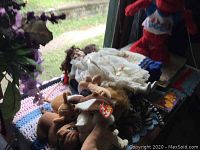 Photo of various stuffed animals, dolls, and children’s books arranged on a surface near a window with greenery outside.