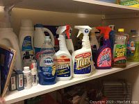 Various opened bottles and spray cleaners displayed on shelf including Dawn Ultra, Fantastik, Tilex, Easy-Off Bam, Pine-Sol, and others.