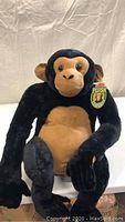 Front view of the plush chimpanzee showing black and light brown colors, sitting upright.