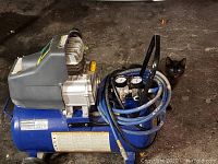 Full side view of the Campbell Hausfeld blue air compressor showing tank, motor, pressure gauges and blue hose coiled on top, placed on a dark floor with a cat nearby for size reference.