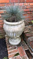Front view of one concrete urn planter with ornamental grass, placed on brick surface against a brick wall. Shows weathering and marks on planter.