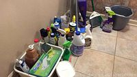 Cleaning supplies and chemicals lined up on floor including bleach, sprays, Swiffer Wet Jet and dry pads