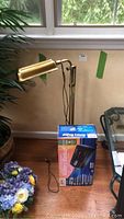 Full view of brass floor lamp and battery backup box on floor next to lamp