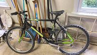 Full left-side view of black and green frame showing 20" size and overall condition