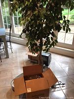 Faux tree in planter, large leafy foliage, room background
