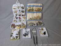Overview of the large collection of ladies pins, brooches in organizers, and several jewelry sets including necklaces and earrings.