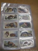 Image showing several tobacco cards featuring illustrations of various bats, a kangaroo, and other countryside animals in protective sleeves.
