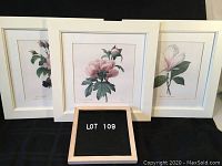 Three framed botanical art prints by Pierre Joseph Redoute arranged side by side showing front view of the white wood frames, glass covers and floral illustrations.