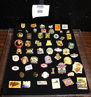 Full view of 55 assorted vintage pins arranged on black velvet display case with plastic cover