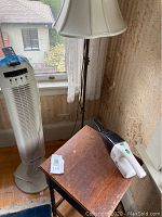 The lot showing the DeLonghi space heater, floor lamp, wooden pedestal table, and battery Dust Buster vacuum on the table