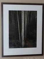 Full view of framed print of black and white aspen trees, shows overall condition and frame.