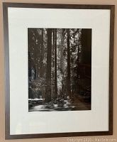 Front view of framed black and white redwoods photographic print in wood frame and wide white matting.