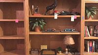 Wide view of wooden shelves with sports items, decor items including deer statue, helmets, model race cars, and faux plants.