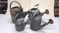 Four galvanized steel watering cans shown from an angle on white surface, including 2 with sprinkler heads