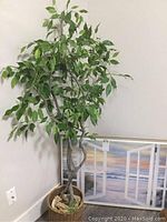 Artificial tree with twisted trunk in brown pot beside framed seascape artwork leaning against wall with beach scene viewed through an open window.