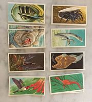 Set of 10 vintage Incredible Creatures cards with animal illustrations neatly arranged on a surface.