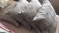 Four taupe cushions with black paisley pattern arranged together on a beige sofa.