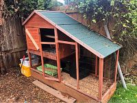 Overall view of wooden chicken coop with wire mesh run and asphalt-shingled roof