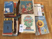 Photo showing a variety of books including Rupert annual, Wild Flowers, and assorted vintage books stacked on a wood floor.