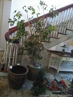 Wide view showing one large planter with faux tree plant and one empty planter alongside faux grassy plant, stairs in background