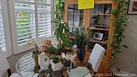 Wide angle view of glass dining table with multiple plants, baskets, and vases arranged on and around it.