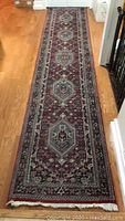 Full length view of indoor runner rug on hardwood floor, showing pattern and wear.