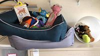 Two dog beds stacked, dark green and gray, filled with assorted dog toys including plush animal shapes and rope toys.
