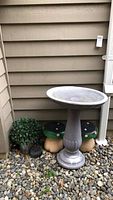 Full view of gray resin bird bath with two wooden toadstools and faux plant in pot underneath, showing general setting and relative sizes.