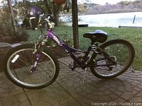 Purple Trek girls 24-inch bike with white flower decals and extra small purple seat on the frame near the handlebars, parked outside on stone patio by a lake.