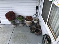 Photo showing collection of eight assorted plastic plant pots in different sizes and colors including some with live plants and some with dead plant remains, positioned outdoors on a concrete porch area near a white wall and window.