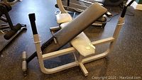 Adjustable bench incline view with uprights and black back pad