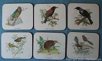 Six vintage coasters each illustrating a different New Zealand bird in colorful detail.